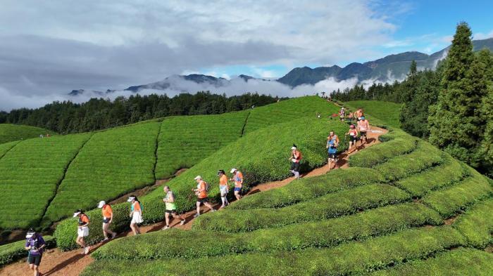 马古道越野, idS